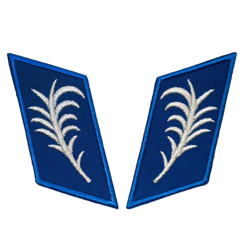 Palemki Patka Znak Korpusu Policji Podoficerskie Na Mundur