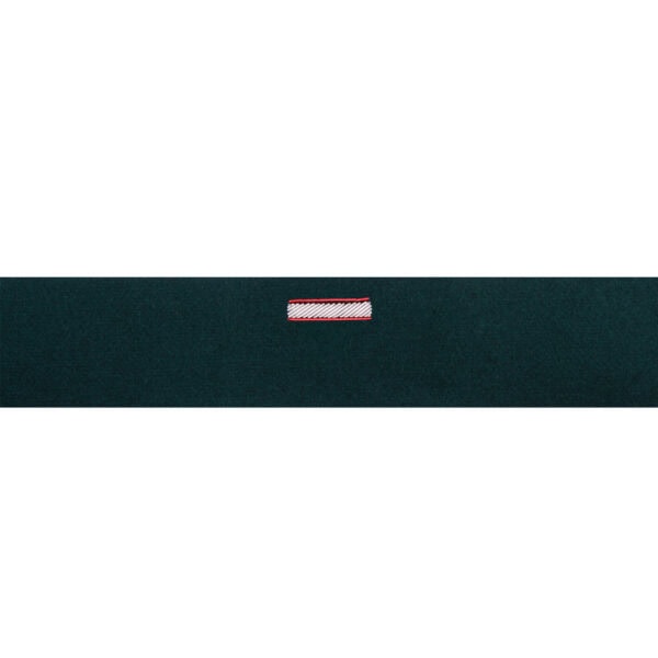 Otok Zielony do Rogatywki Wojska Polskiego Haft Bajorek starszy Szeregowy Specjalista 5 cm