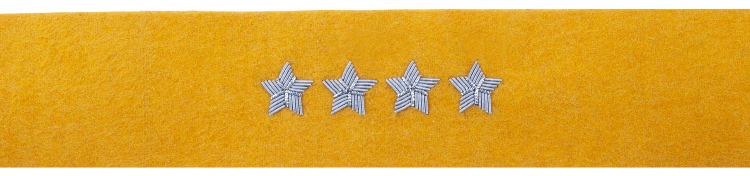 Otok Żółty do Rogatywki Wojska Polskiego Haft Bajorek Kapitan Starszy Chorąży Sztabowy 5 cm - obrazek 2
